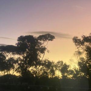 Meet your Posher, Bobbi